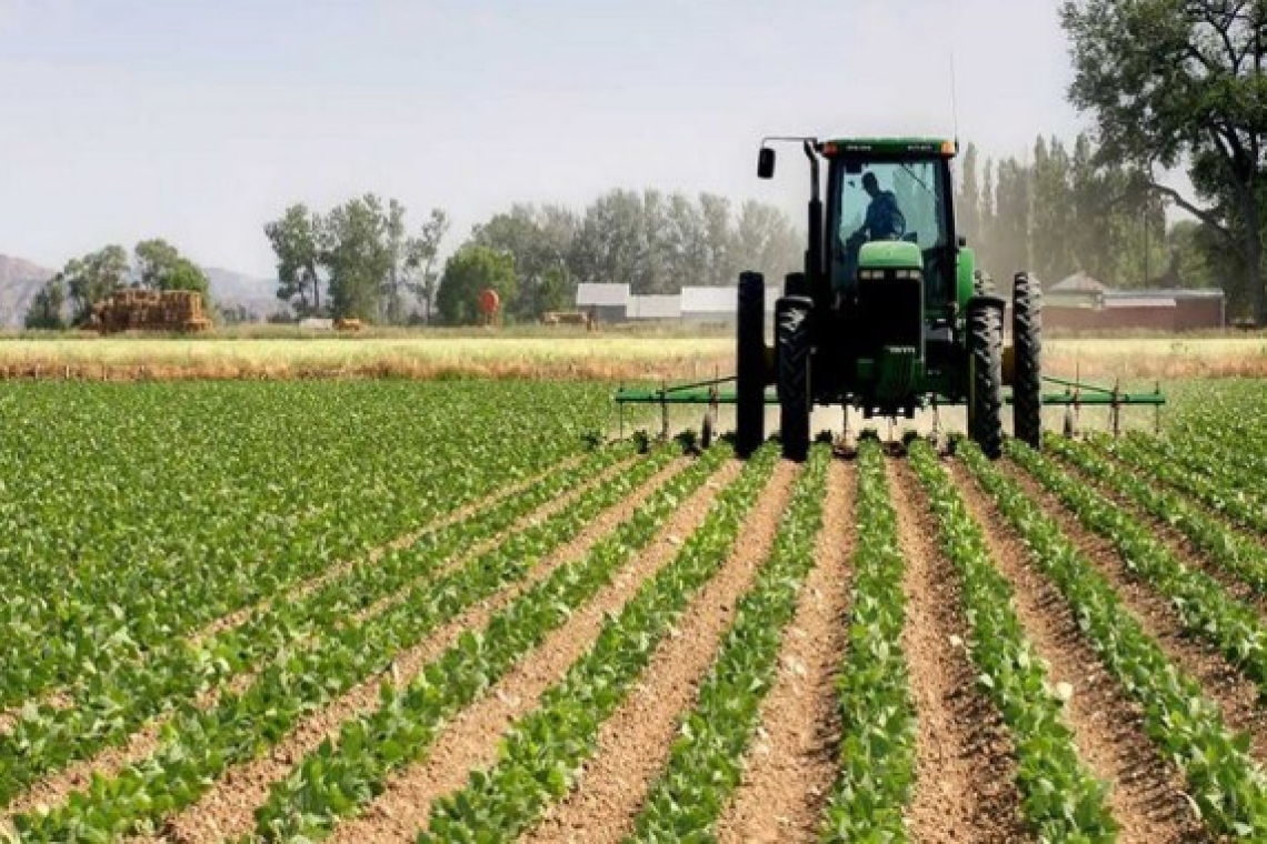 DRC Agribusiness Forum : le monde des investissements et des partenariats se réunit à Kinshasa pour transformer une immense puissance agro-industrielle inexploitée au cœur de l’Afrique