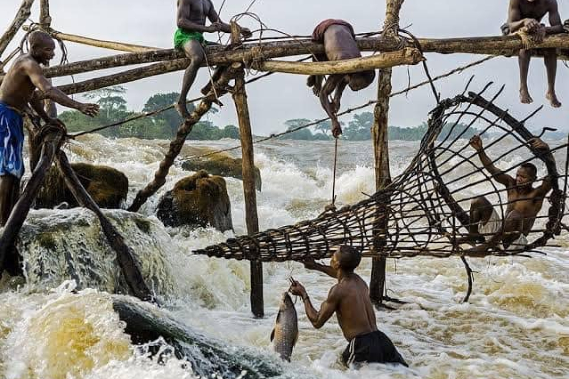 Kisangani - Boyoma "Singa Muambe" : au fait que veut dire "Singa Muambe" ?