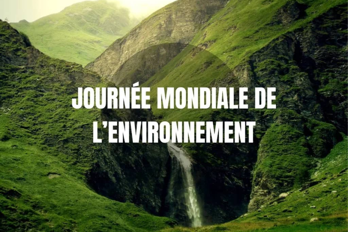 Nord-Kivu : report des commémorations de la Journée Mondiale de l'Environnement