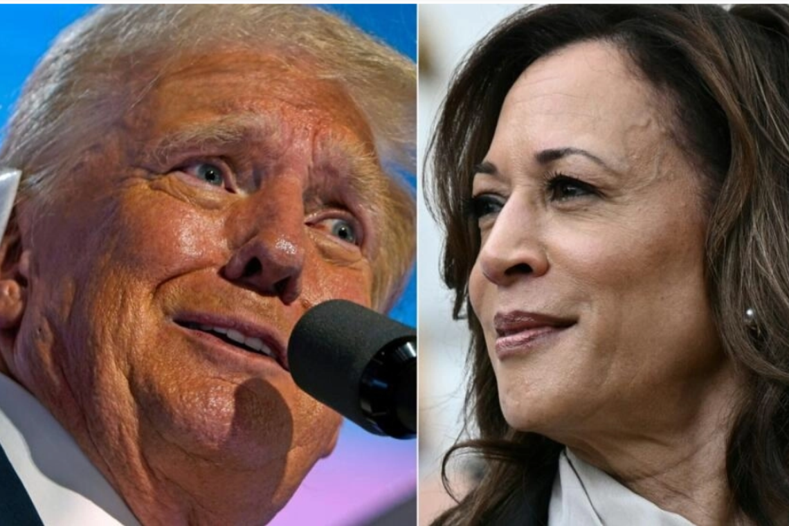 Etats-Unis : débat crucial ce 10 septembre entre Trump et Harris