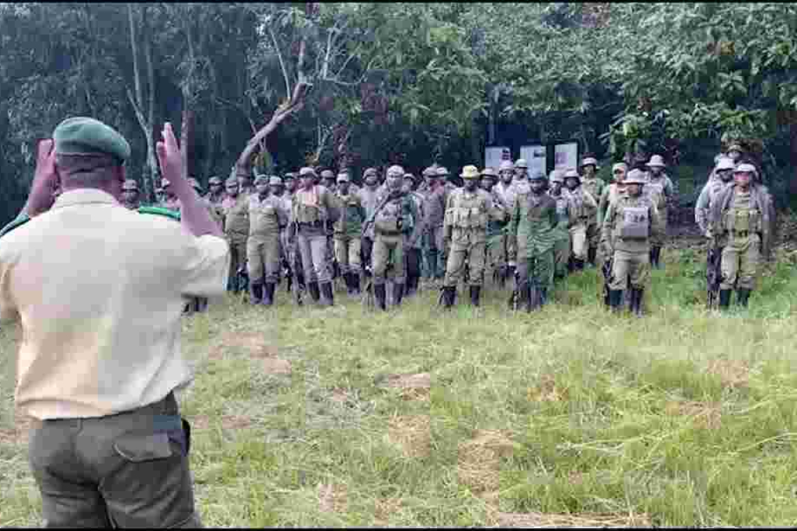 Nord-Kivu/Parc des Virunga : L’ICCN lutte contre l’occupation de Nzulo