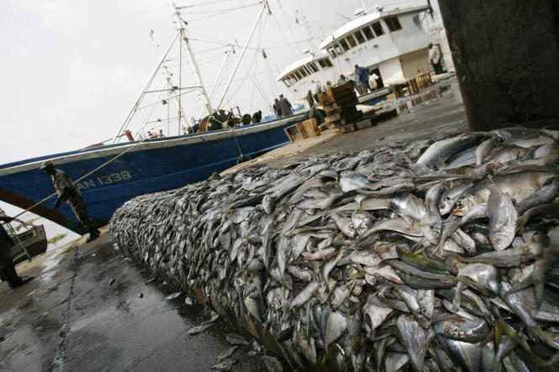 Dynamisation du secteur halieutique en RDC : Plus de 50 millions de dollars pour acquérir 9 bateaux de pêche 