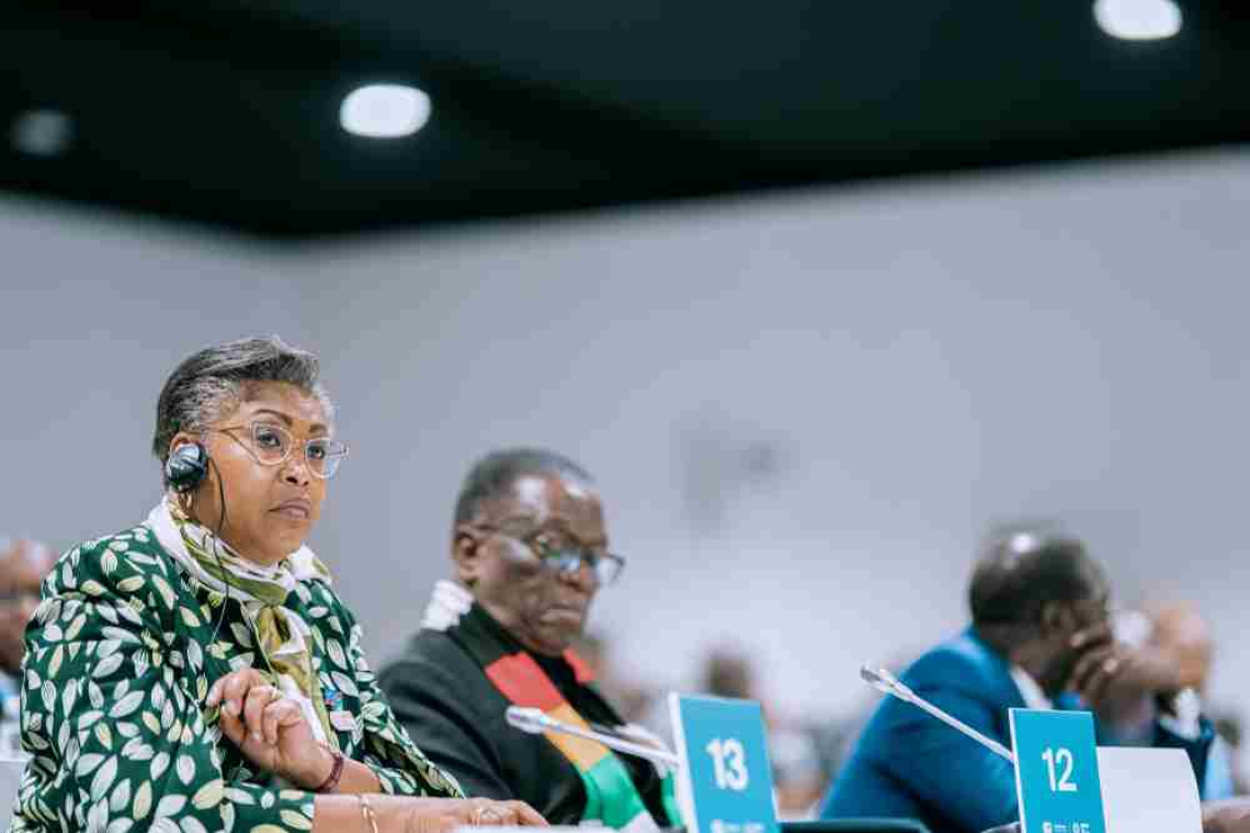 COP29 : Judith Suminwa Tuluka plaide pour la valorisation du capital naturel de la RDC à la réunion présidentielle de la BAD