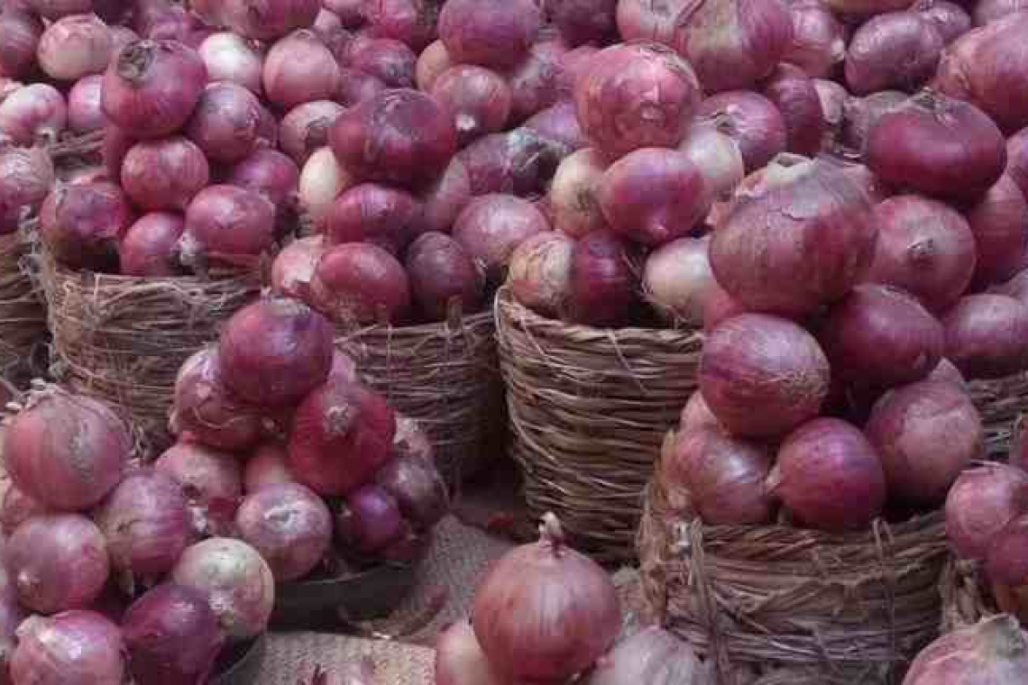 Nord-Kivu/Rutshuru : la chute du prix de l’oignon rouge inquiète les maraîchers
